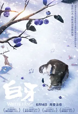 我新妻子的